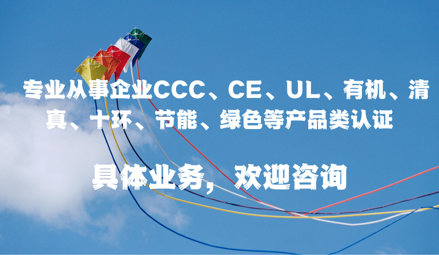 蓝白色风筝简洁活动活动中文门票 的副本 的副本.png